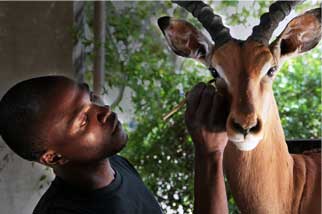 Taxidermy Pretoria