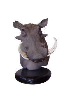 Taxidermy Pretoria